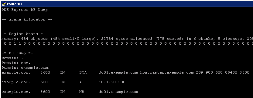 ../../../_images/DNS_Express_result3.png