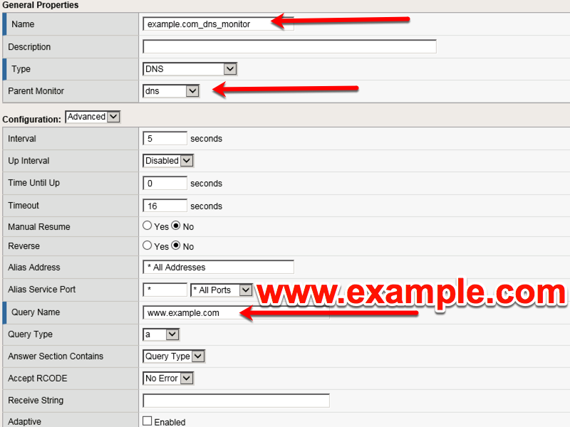 ../../../_images/class2_dns_monitor_create_properties.png