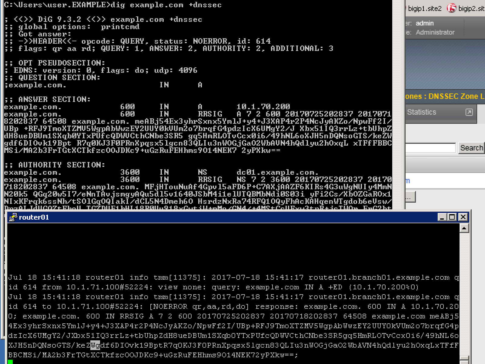 ../../../_images/dnssec-logs.png