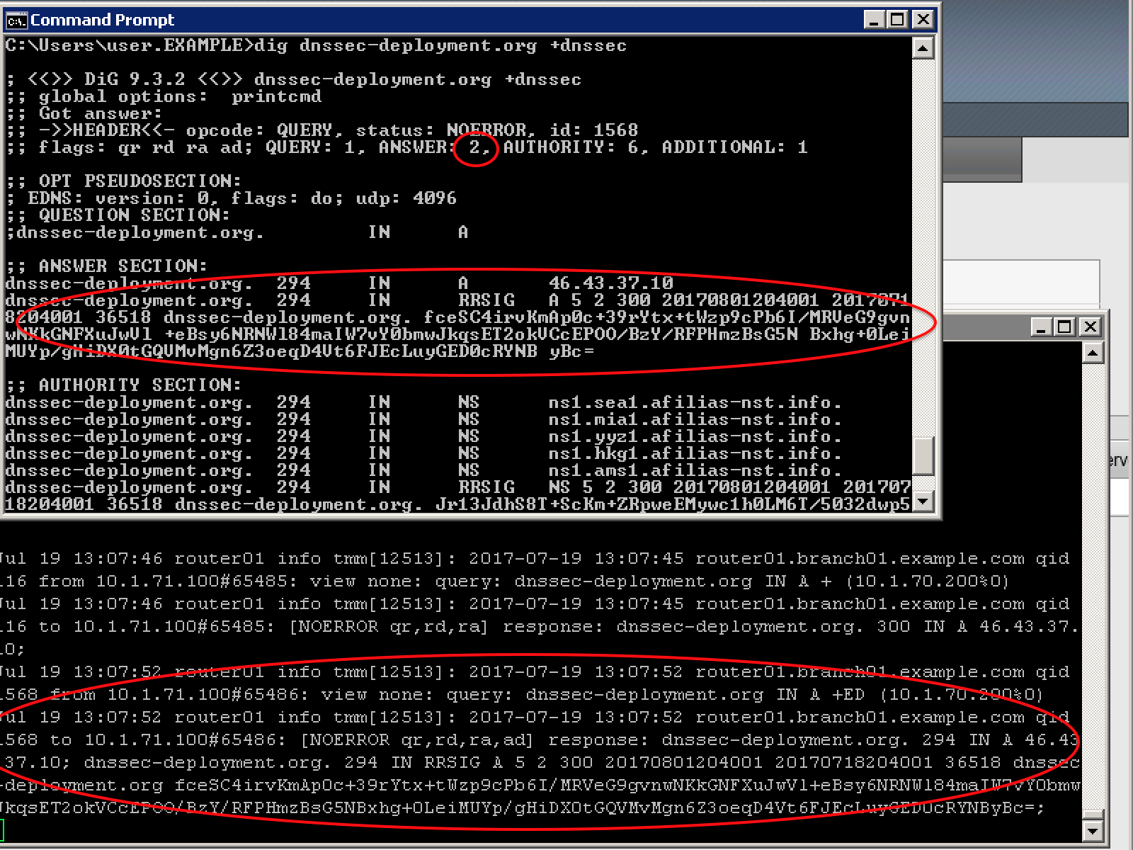 ../../../_images/dnssec-resolver-results.png